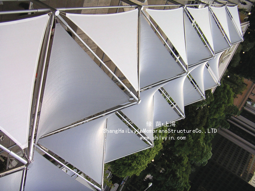 辰山植物园温室结构风荷载研究